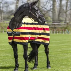 Chemise polaire cheval Rambo Deluxe - Horseware