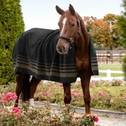 Chemise polaire cheval Sölden - Waldhausen
