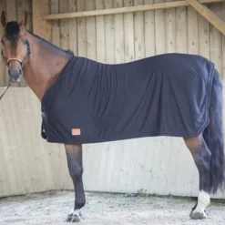 Chemise séchante cheval - Paddock Sports