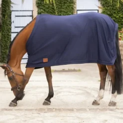 Chemise séchante cheval - Paddock Sports