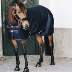 Chemise séchante cheval 3D Spacer - Kentucky