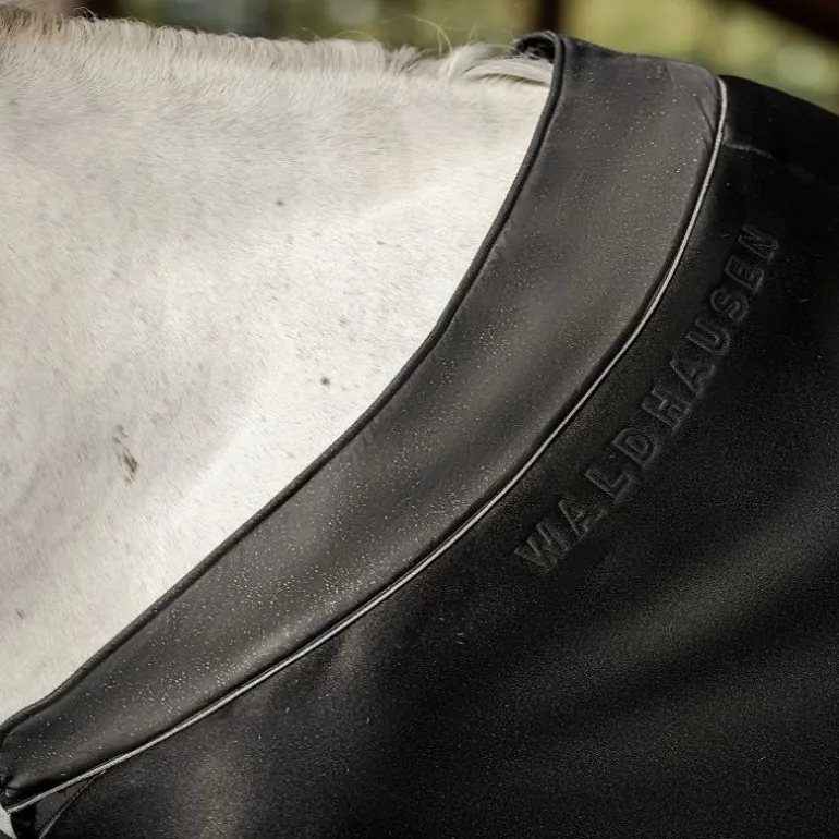 Chemise séchante cheval jersey Phoenix - Waldhausen