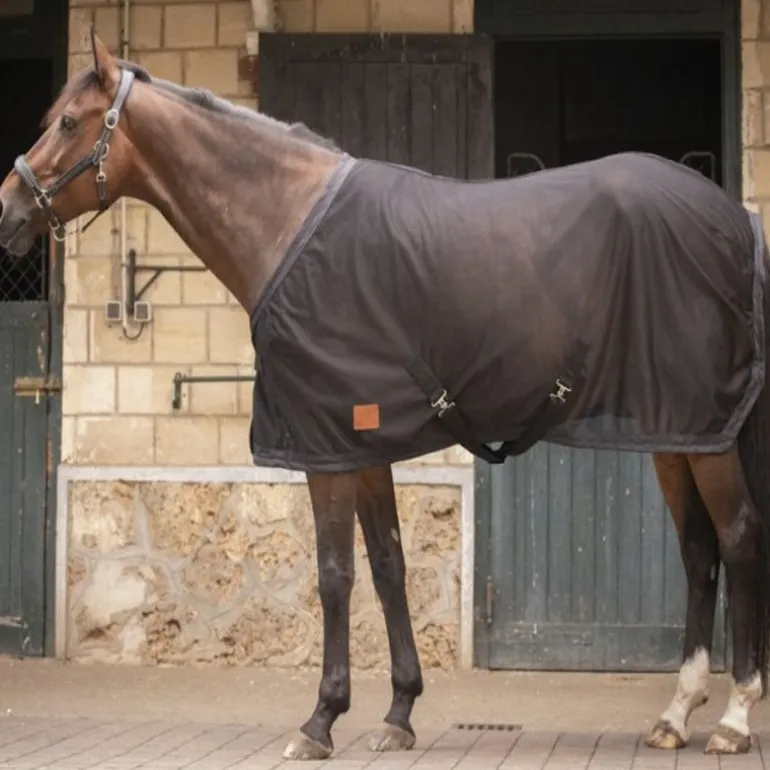 Chemise séchante cheval Mesh - Paddock Sports