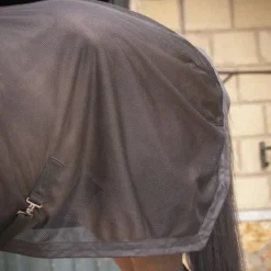 Chemise séchante cheval Mesh - Paddock Sports