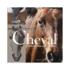 Cheval - Connaitre, aimer l'équitation - Ouest france
