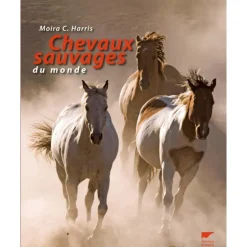 Chevaux sauvages du monde