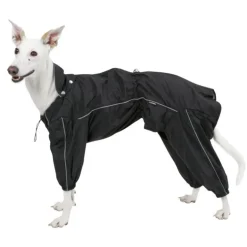 Ciré de pluie pour chien Manchester
