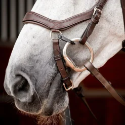 Clip de mors PVC x 4 pour bridon Micklem - Horseware