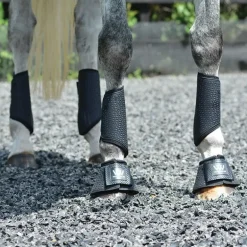 Cloches respirantes cheval iVent - Woof Wear