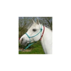 Collier anti-insecte chevaux