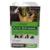Collier chien anti-stress - Zoostar