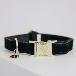 Collier chien Corduroy - Kentucky Dogwear