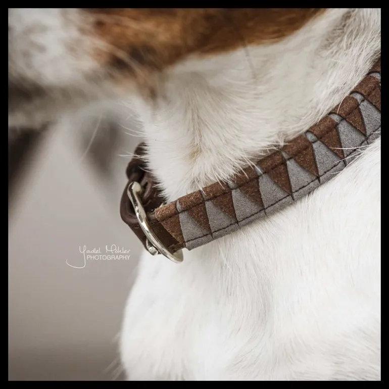 Collier chien motif triangle - Kentucky Dogwear