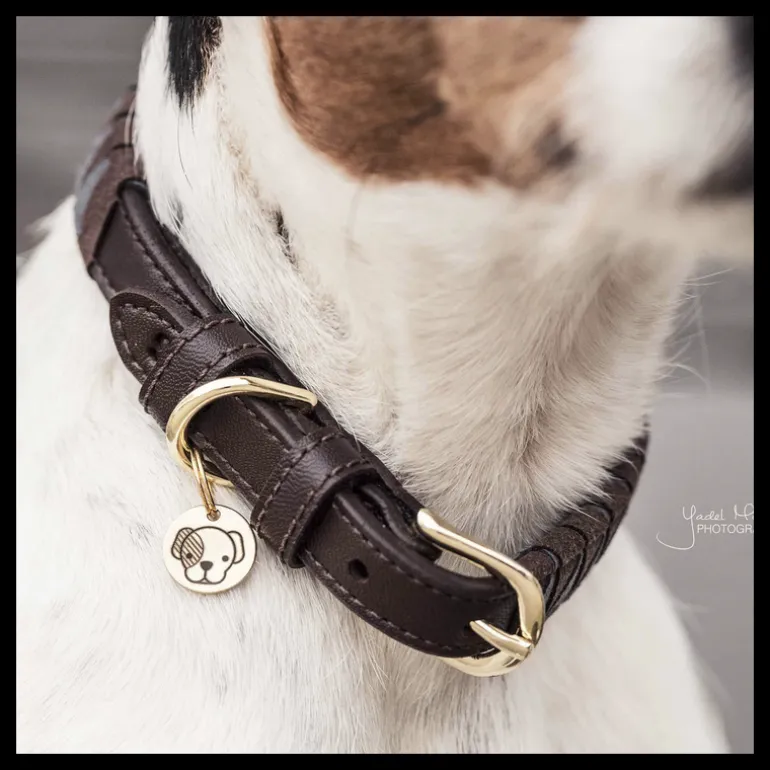 Collier chien motif triangle - Kentucky Dogwear