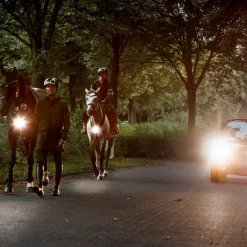 Collier de chasse cheval balade et randonnée avec lampe Horselight - Kavalkade