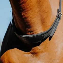 Collier de monte à cru cheval