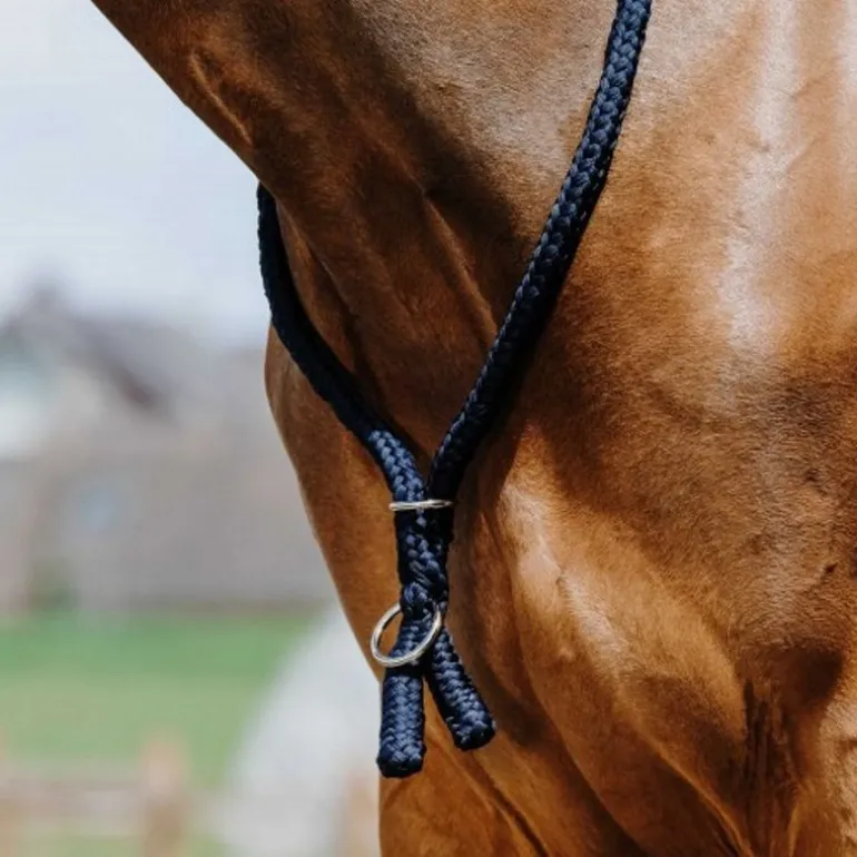 Collier d'encolure éthologique en corde