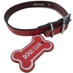 Collier en cuir pour chien