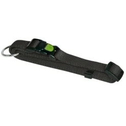 Collier nylon pour chien Miami