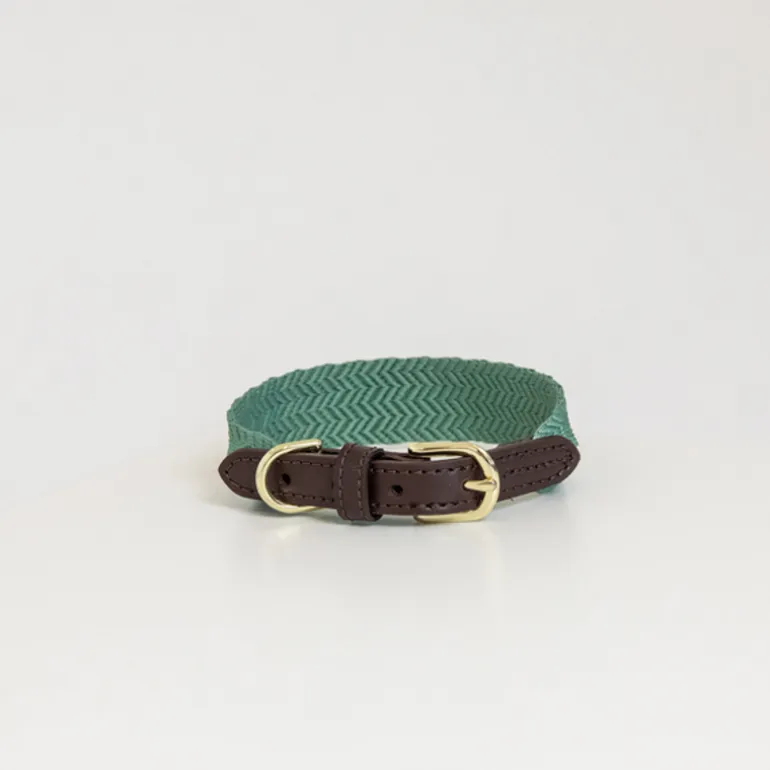 Collier pour chien Jacquard - Kentucky Dogwear