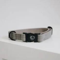 Collier pour chien Lézard - Kentucky