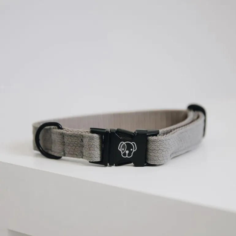 Collier pour chien Lézard - Kentucky