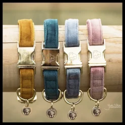 Collier pour chien Velvet - Kentucky Dogwear
