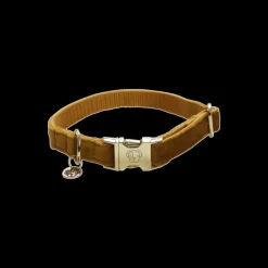 Collier pour chien Velvet - Kentucky Dogwear