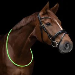Cordelette cheval led - Waldhausen