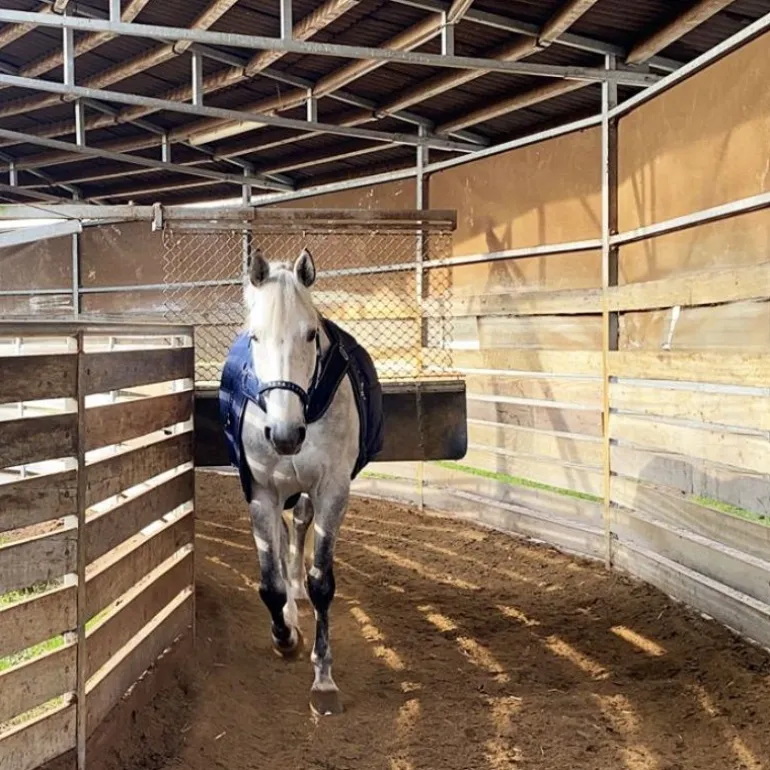 Couverture cheval 2 en 1 écurie et marcheur Halifax 400gr - Kavalkade