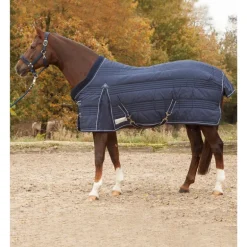 Couverture écurie cheval 100 g Comfort line - Waldhausen