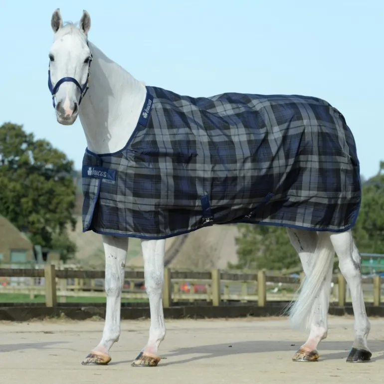 Couverture écurie cheval 150 g Celtic Medium - Bucas