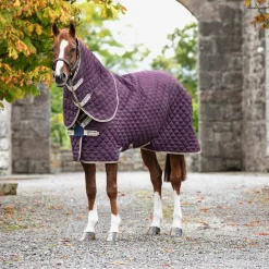 Couverture écurie cheval avec couvre cou Amigo Stable Plus 200 g- Horseware