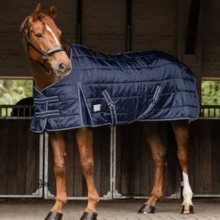 Couverture de box cheval Economic 100g - Waldhausen