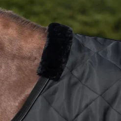 Couverture de marcheur cheval Exclusive 50g - Waldhausen
