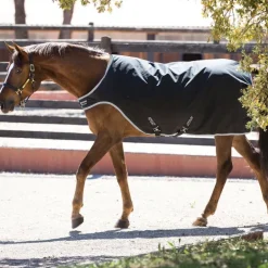 Couverture de marcheur imperméable Amigo Walker 200g - Horseware