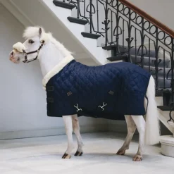 Couverture de présentation shetland 160 gr Tiny - Kentucky