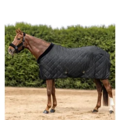 Couverture de transport et show cheval Exclusive 50g - Waldhausen