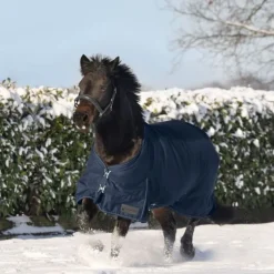 Couverture d'extérieur cheval Nordic 100 g - Waldhausen
