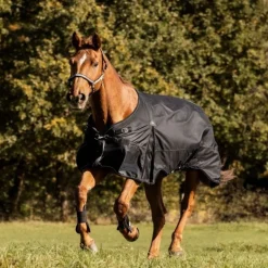 Couverture d'extérieur cheval Scandic 100 g - Waldhausen