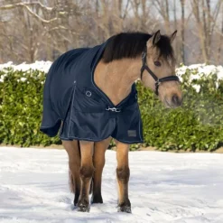 Couverture d'extérieur cheval Scandic encolure haute 0 g - Waldhausen