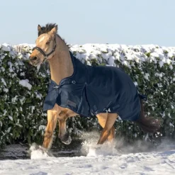 Couverture d'extérieur cheval Scandic encolure haute 0 g - Waldhausen
