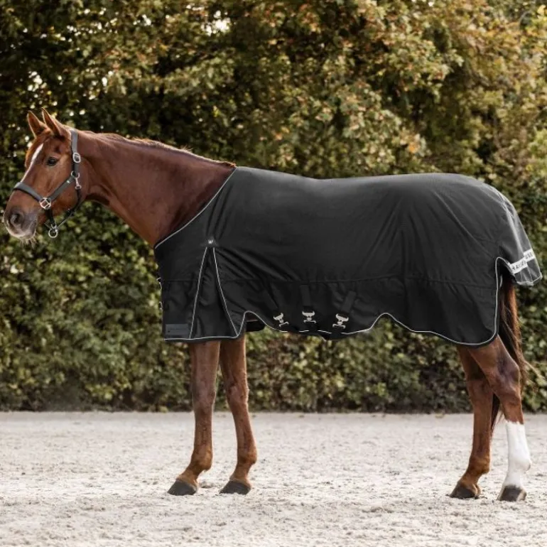 Couverture d'extérieur cheval Scandic 300 g - Waldhausen