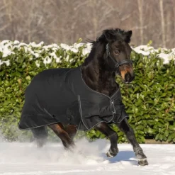 Couverture d'extérieur cheval Nordic 50 g - Waldhausen