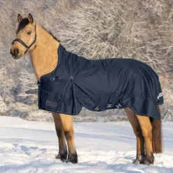 Couverture d'extérieur cheval Scandic encolure haute 100 g - Waldhausen