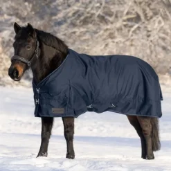 Couverture d'extérieur cheval Nordic 0 g - Waldhausen