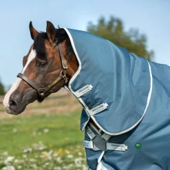 Couverture extérieur cheval Amigo Am Eco 12 plus turnout 100g - Horseware