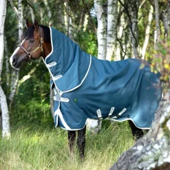 Couverture extérieur cheval Amigo Am Eco 12 plus turnout 100g - Horseware