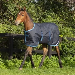 Couverture extérieur poulain 50g Foal Rug - Horseware