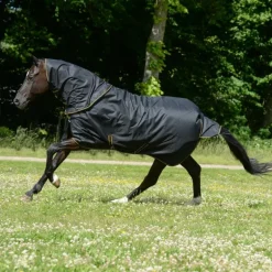 Couverture extérieur cheval couvre-cou amovible 50g Irish Turnout Light - Bucas